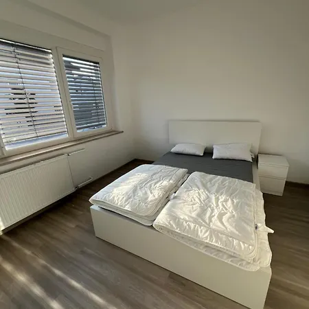 ゲストハウス Kolarjeva International House 3*