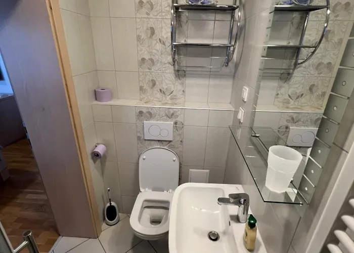 Kolarjeva International House